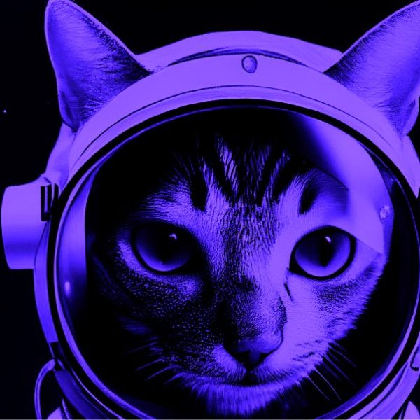 diving cat purple