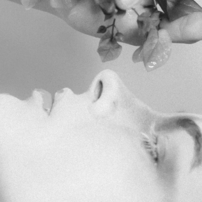 face vegetal grey photo